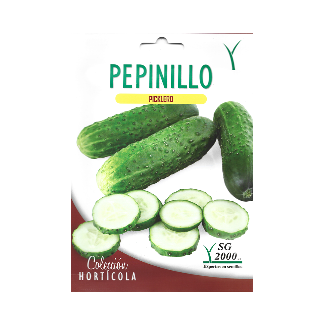 Semillas de Pepinillo Picklero - Imagen 2