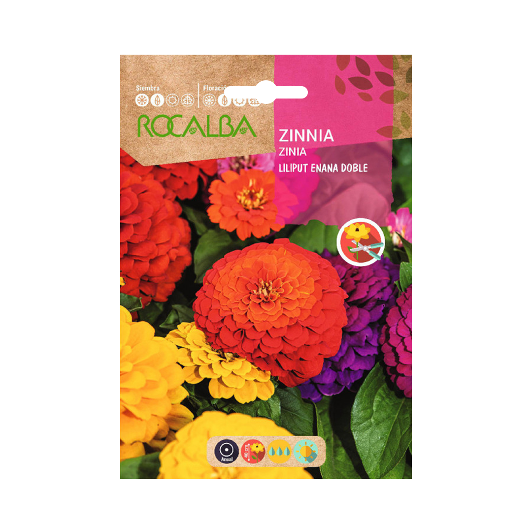 Semillas de Zinnia Liliput Enana Doble Variada Rocalba - Imagen 2