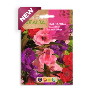 Semillas de Balsamina Flor de Camelia