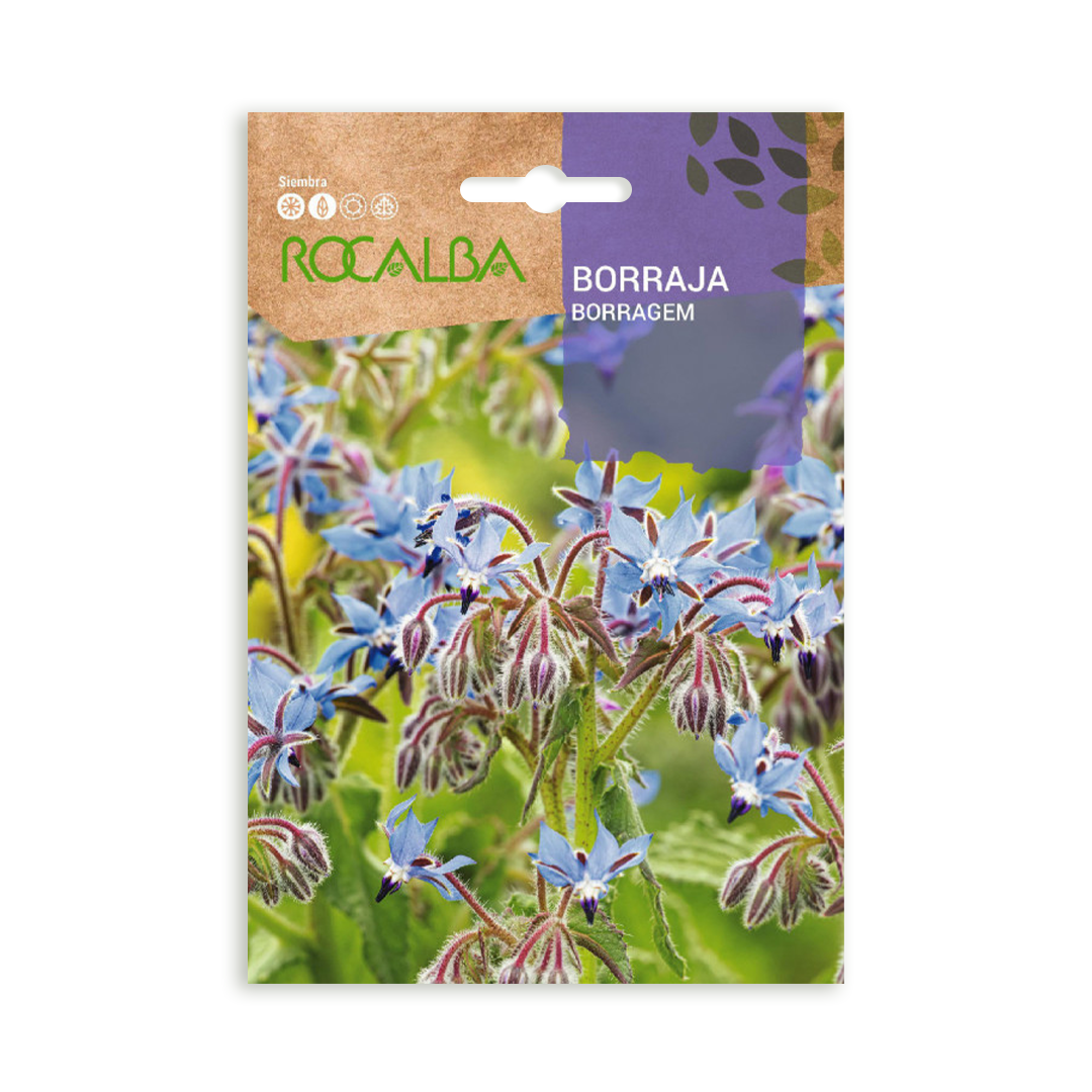 Semillas de Borraja Rocalba - Imagen 2