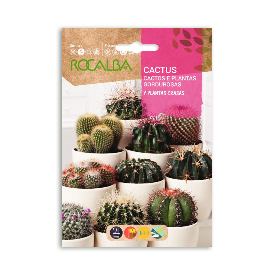 Semillas de Cactus y Plantas Crasas Variadas - Imagen 2