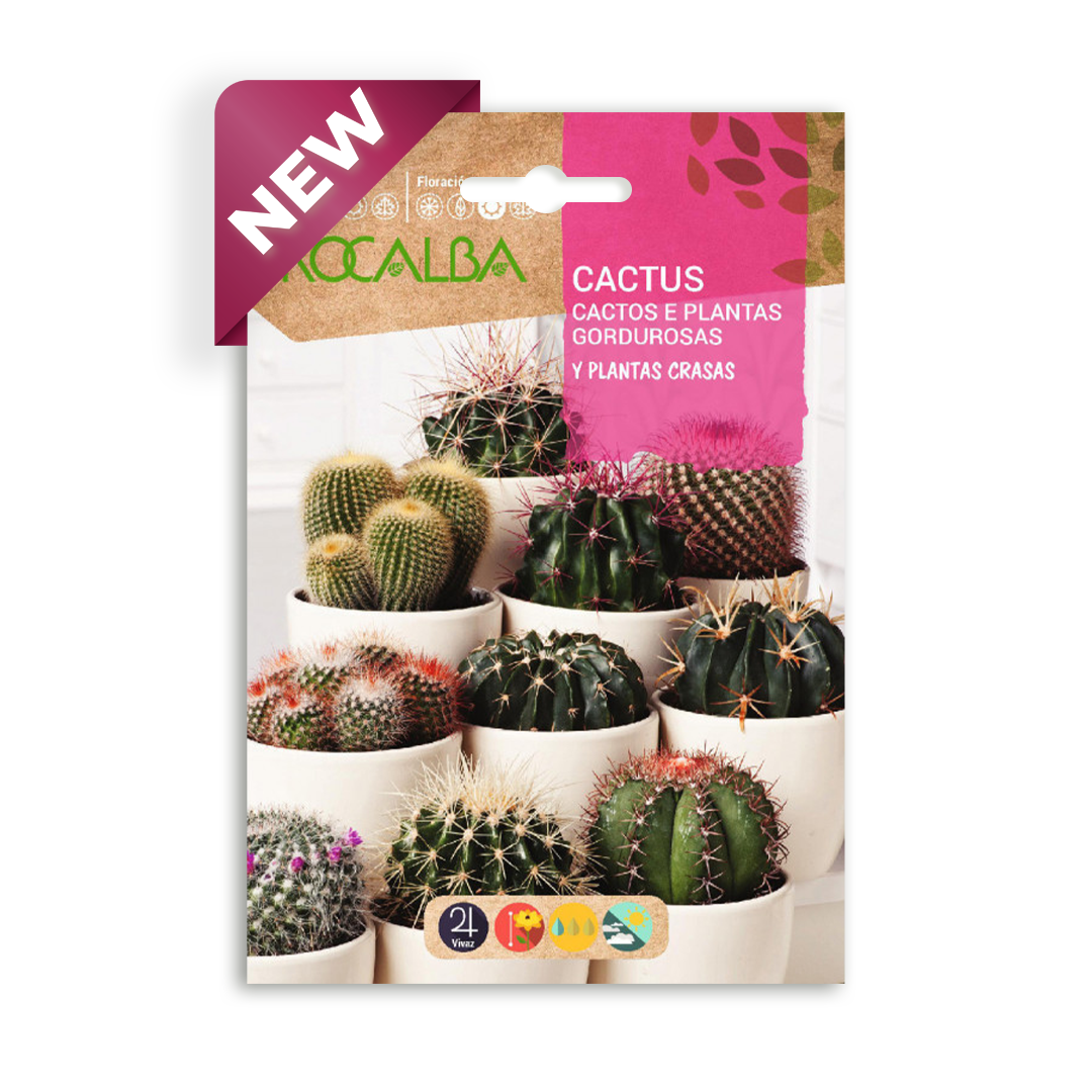 Semillas de Cactus y Plantas Crasas Variadas