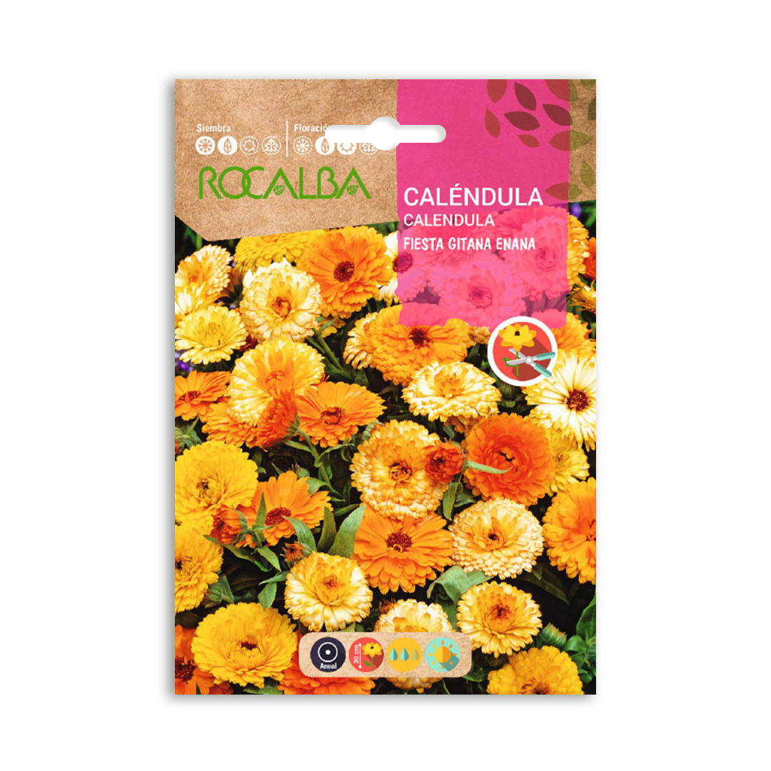 Semillas de Caléndula Fiesta Gitana - Imagen 2