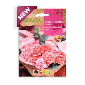 Semillas de Clavel Gigante Mejorado Rosa Suave