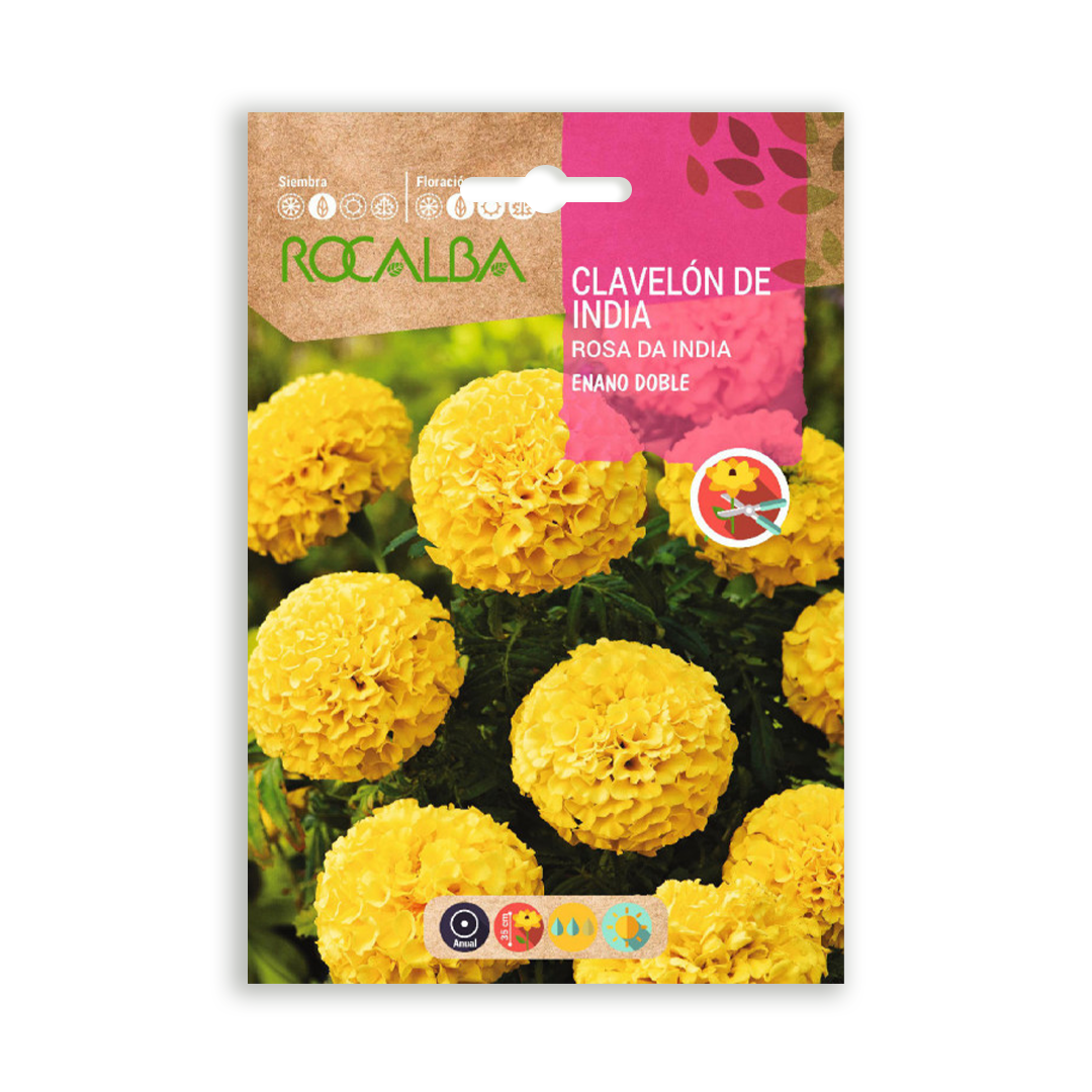 Semillas de Clavelón de India Enano Doble Amarillo - Imagen 2