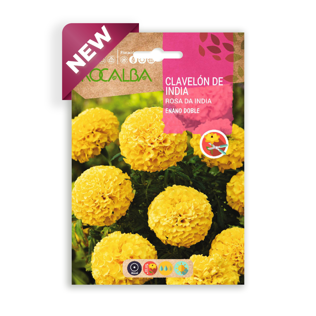 Semillas de Clavelón de India Enano Doble Amarillo