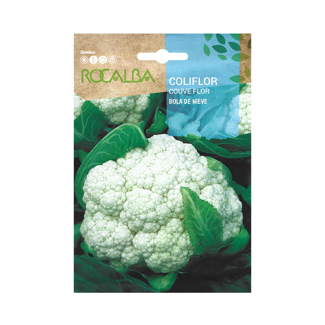 Semillas de Coliflor Bola de Nieve Rocalba - Imagen 2
