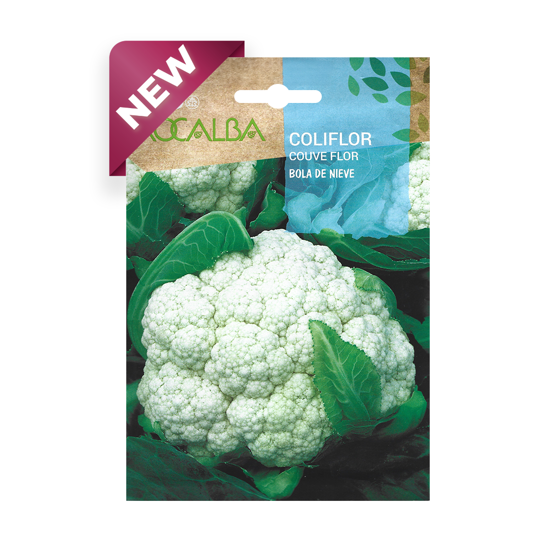 Semillas de Coliflor Bola de Nieve Rocalba