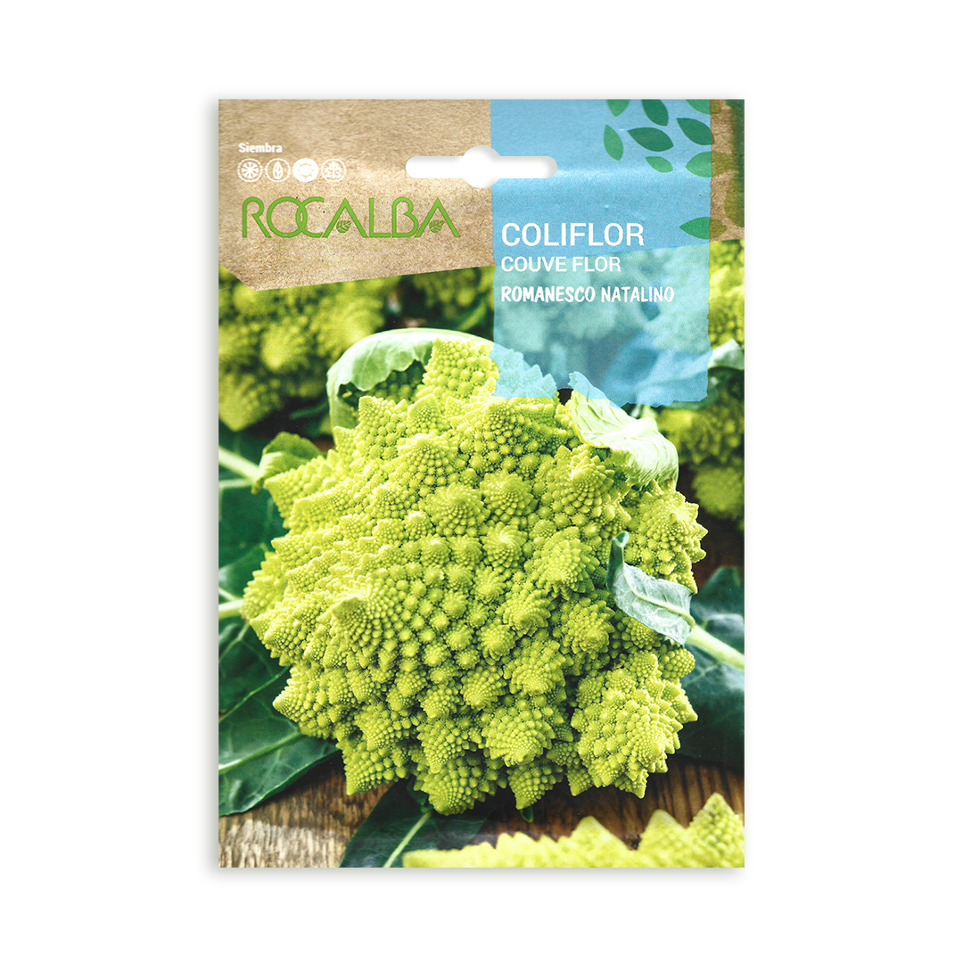 Semillas de Coliflor Romanesco Natalino Rocalba - Imagen 2