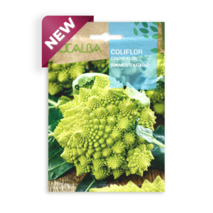 Semillas de Coliflor Romanesco Natalino Rocalba