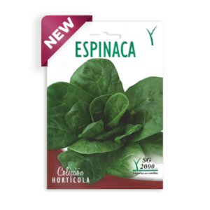 Semillas de Espinaca Gigante de Invierno