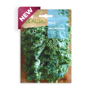 Semillas de Kale Dwarf Green Curled