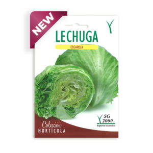 Semillas de Lechuga Escarola SG 2000
