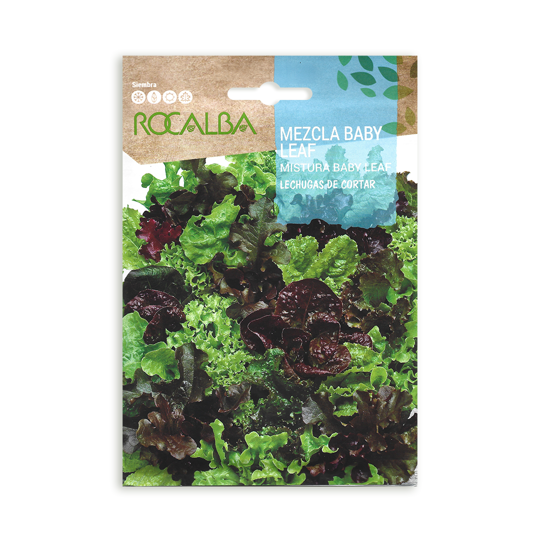 Semillas de Mezcla Baby Leaf Lechugas de Cortar - Imagen 2