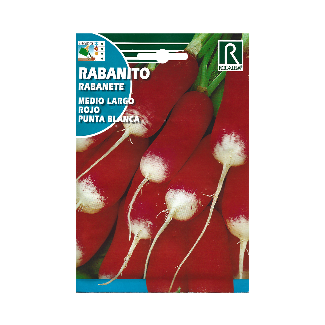 Semillas de Rabanito Medio Largo Rojo Punta Blanca - Imagen 2