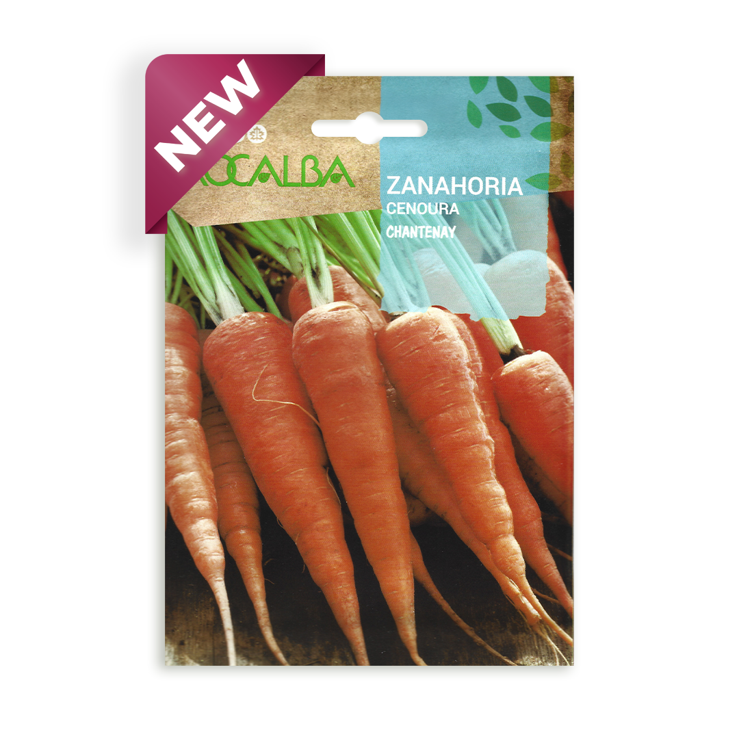 Semillas de Zanahoria Chantenay Rocalba