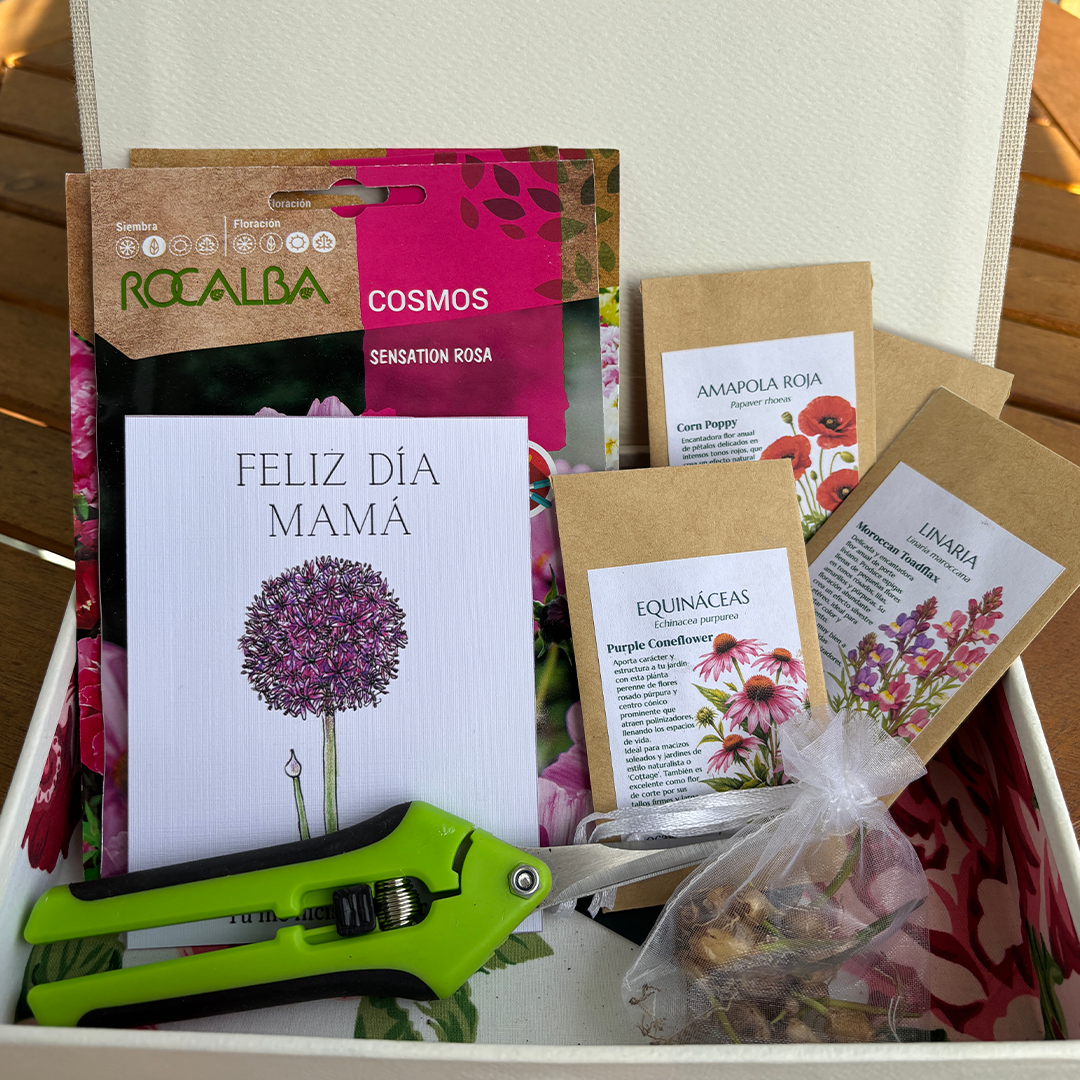 Kit Día de la Madre - Imagen 3