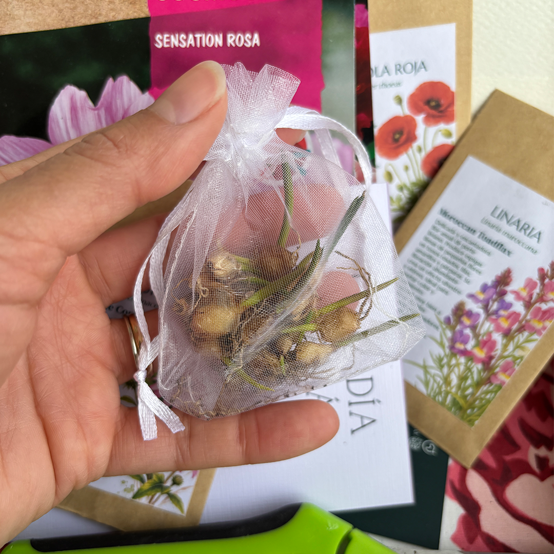 Kit Día de la Madre - Imagen 6