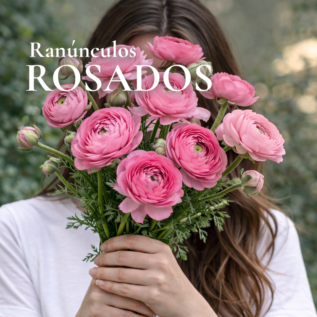 Pack Flores de Corte Rose Bulbs - Imagen 4