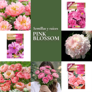 Pack Flores de Corte Pink Blossom