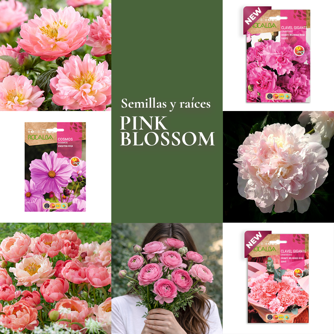 Pack Flores de Corte Pink Blossom