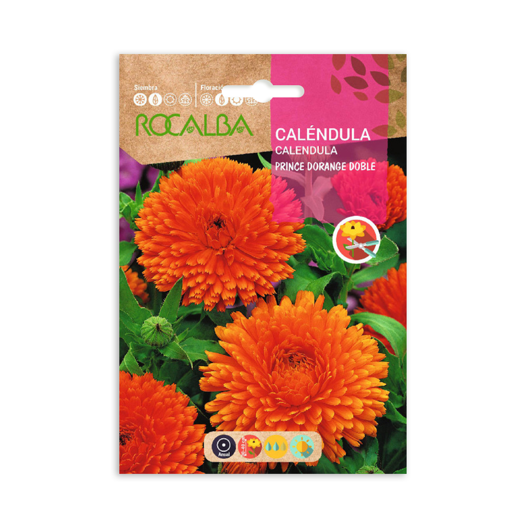 Semillas de Caléndula Prince D'Orange Doble - Imagen 2
