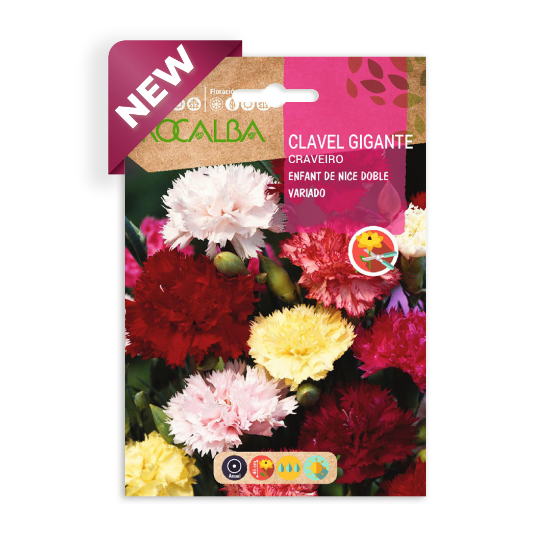 Semillas de Clavel Gigante Enfant de Nice Doble Variado