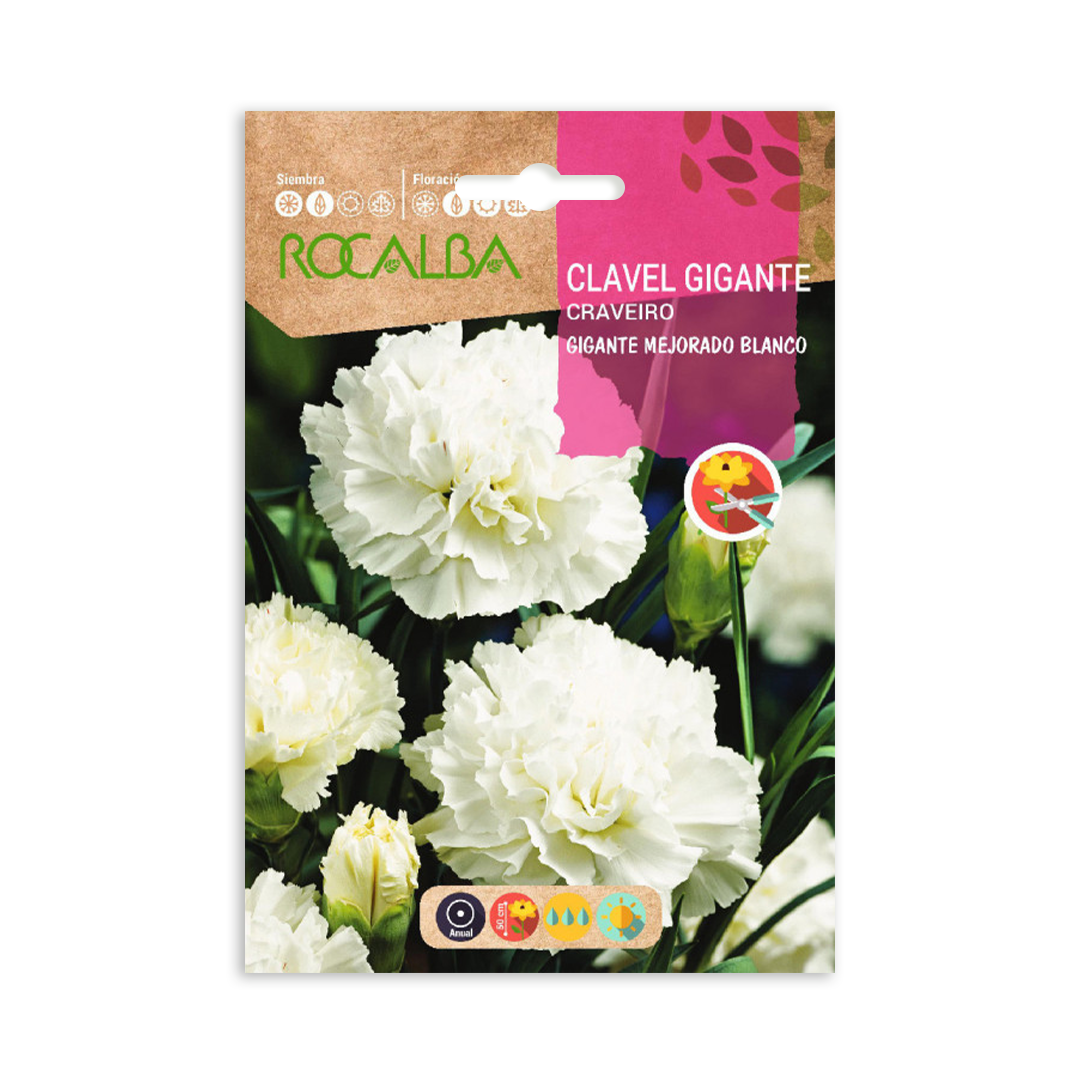 Semillas de Clavel Gigante Mejorado Blanco - Imagen 2