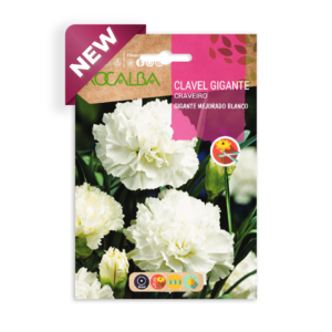 Semillas de Clavel Gigante Mejorado Blanco