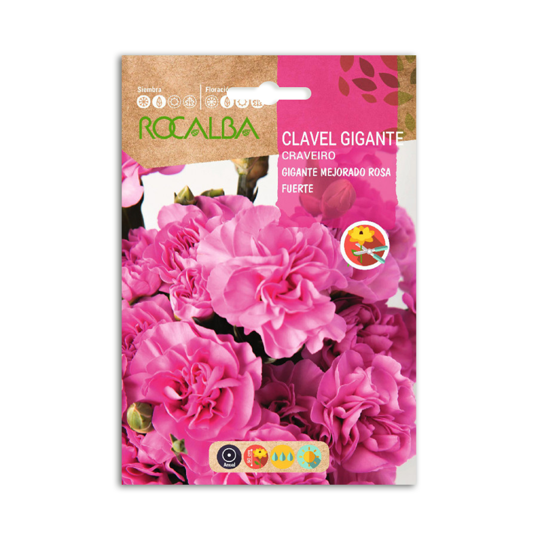 Pack Flores de Corte Pink Blossom - Imagen 7