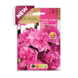 Semillas de Clavel Gigante Mejorado Rosa Fuerte
