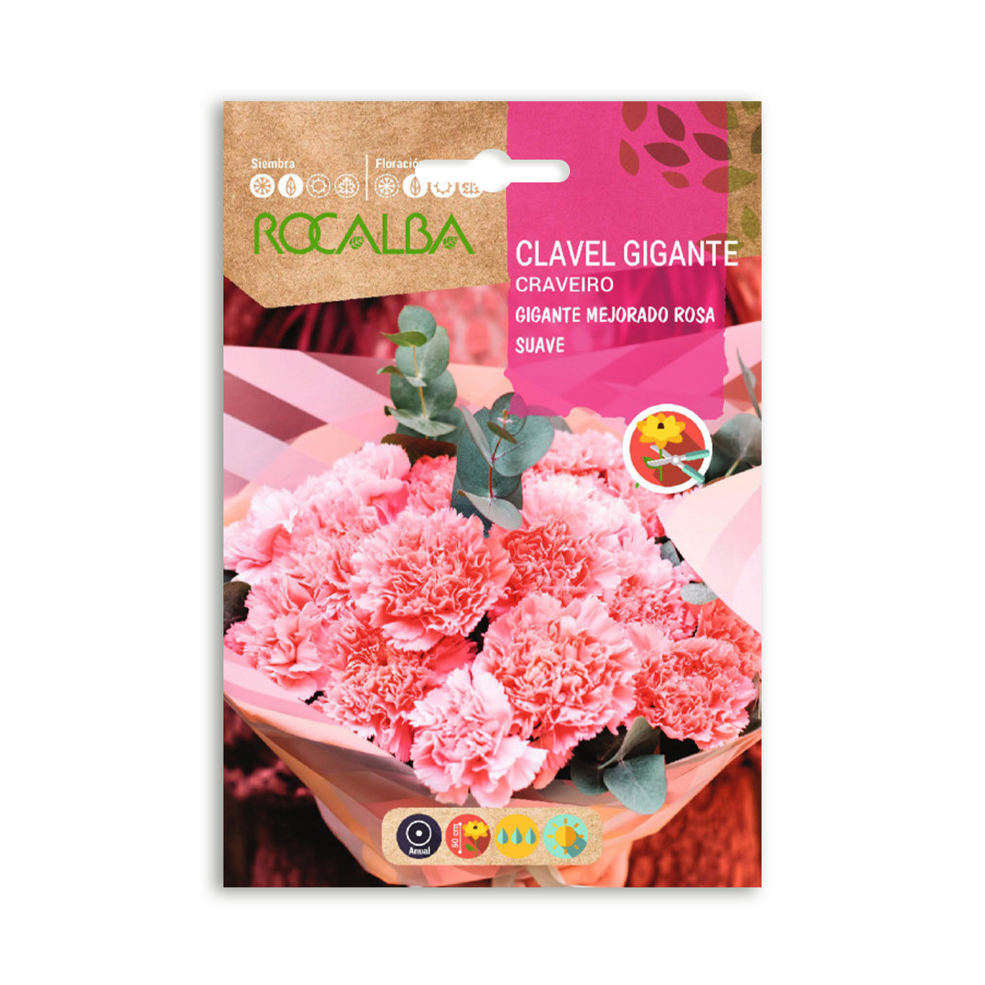 Pack Flores de Corte Pink Blossom - Imagen 6