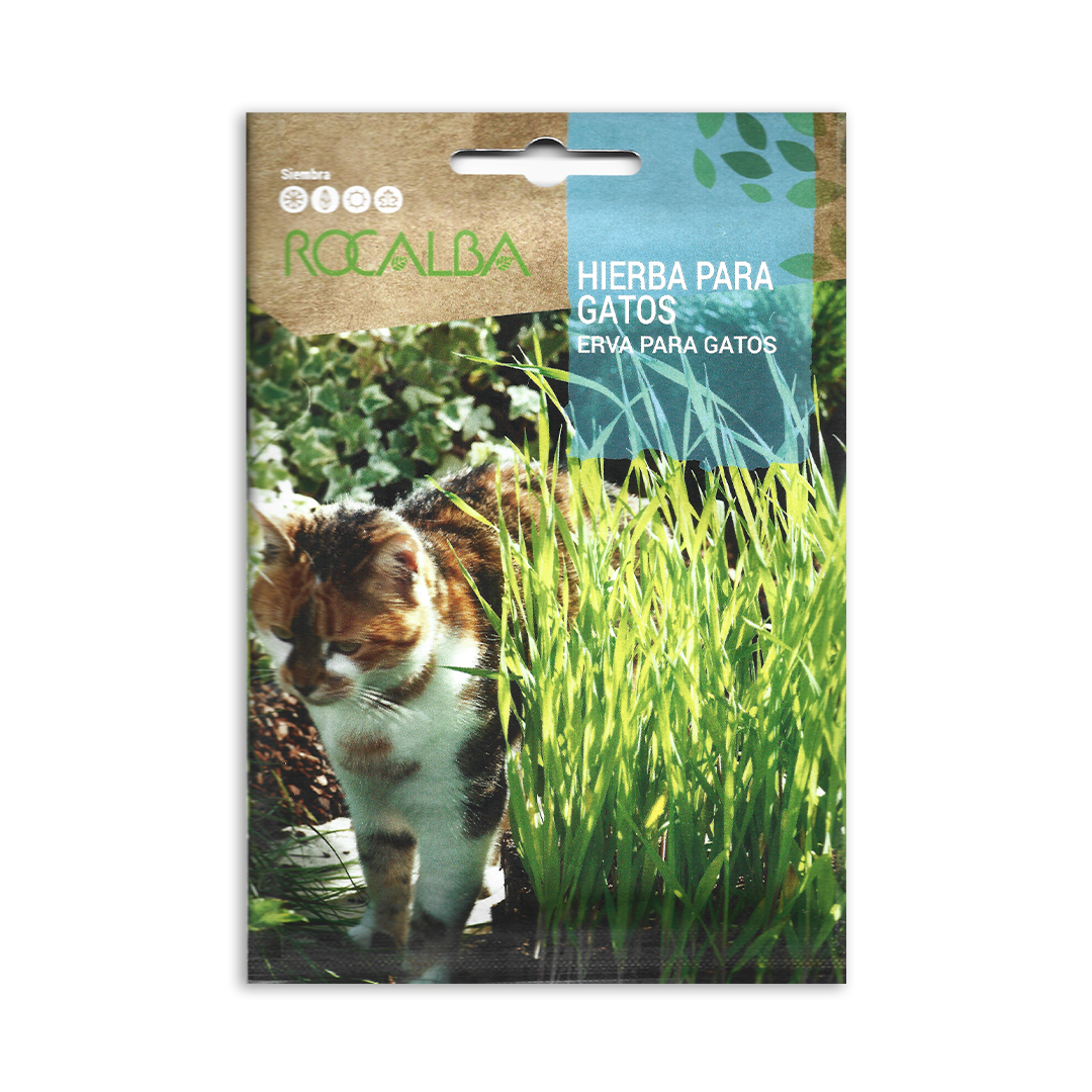 Semillas de Hierba para Gatos Rocalba - Imagen 2
