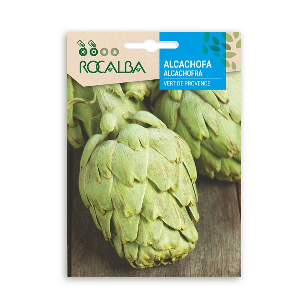Semillas de Alcachofa Vert de Provence - Imagen 2