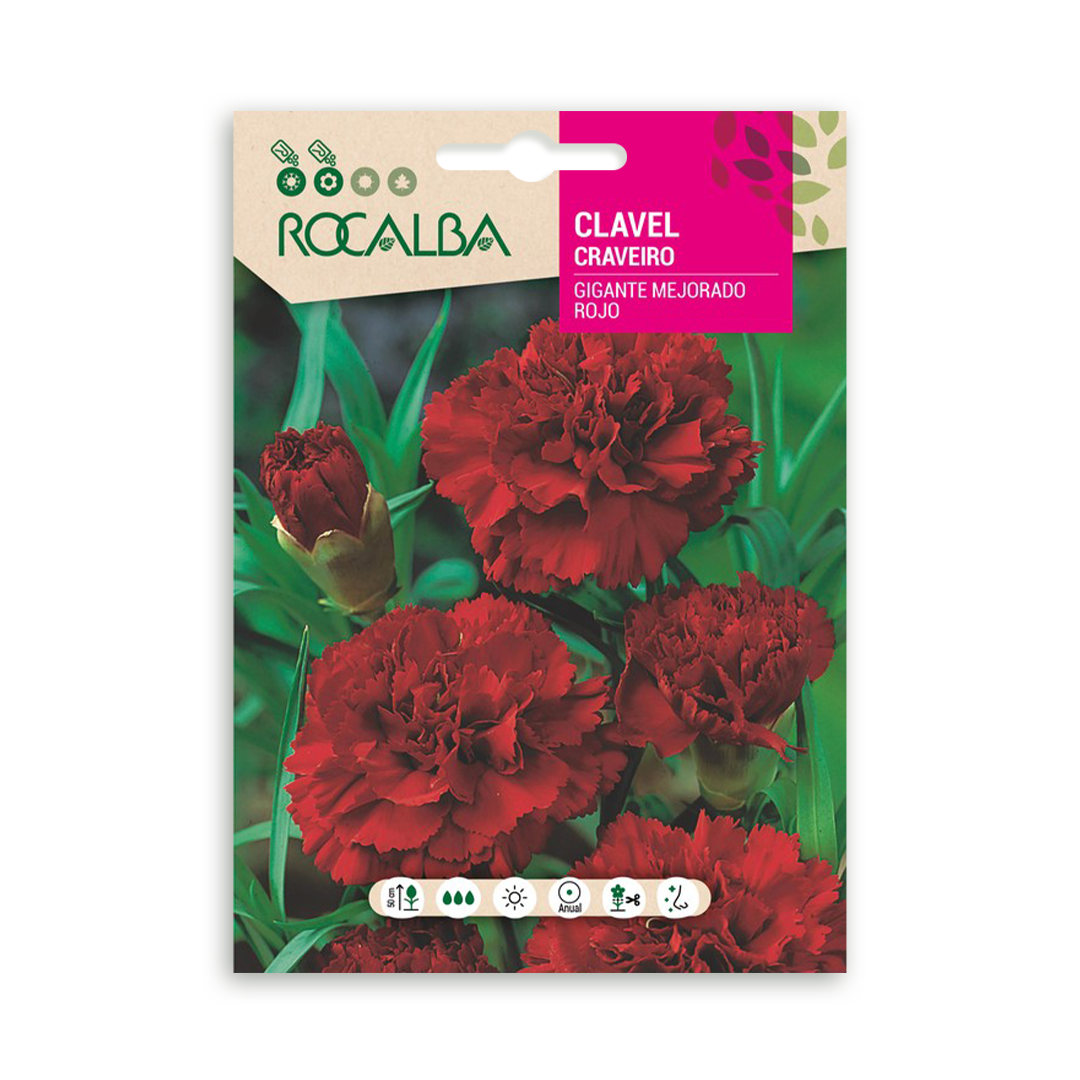 Semillas de Clavel Gigante Mejorado Rojo - Imagen 2