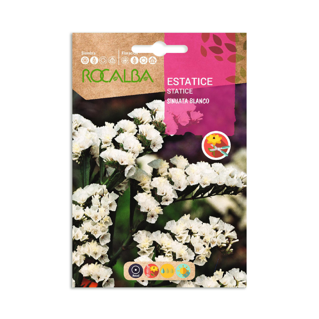 Semillas de Estatice sinuata Blanco - Imagen 2