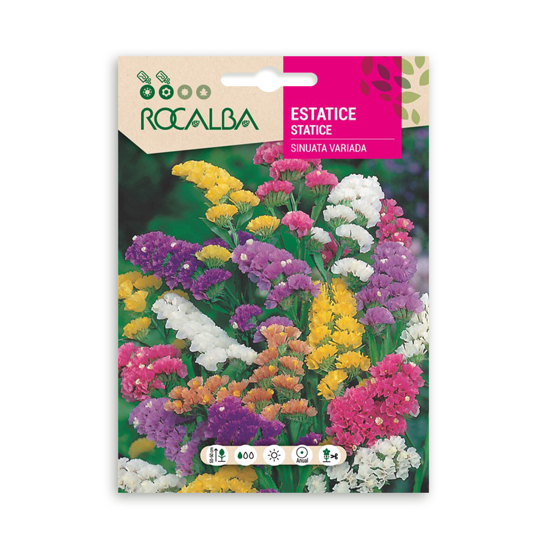 Semillas de Estatice sinuata Variado - Imagen 2