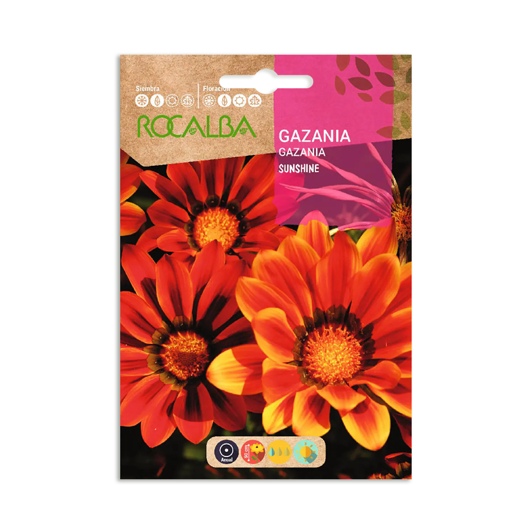 Semillas de Gazania Sunshine - Imagen 2