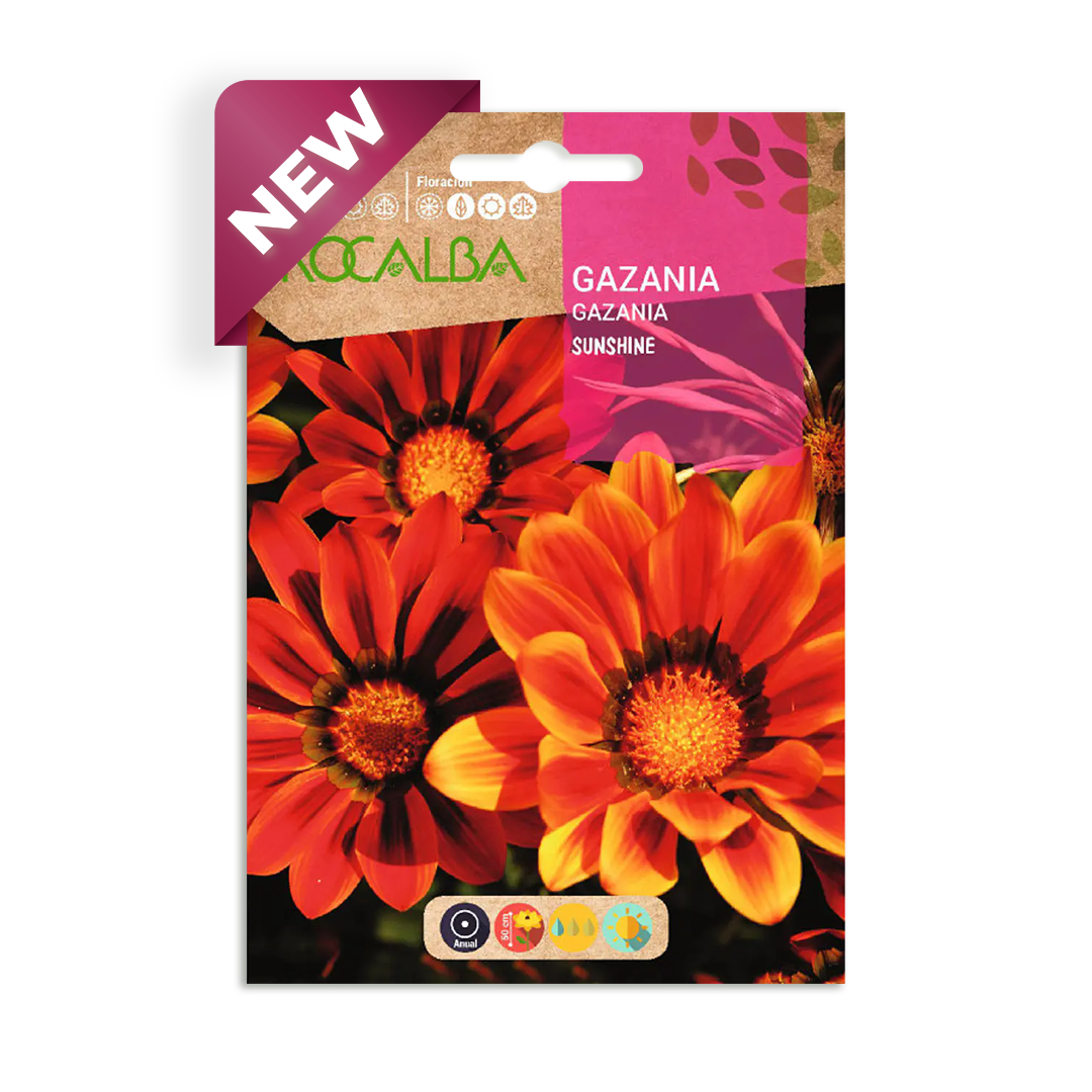 Semillas de Gazania Sunshine