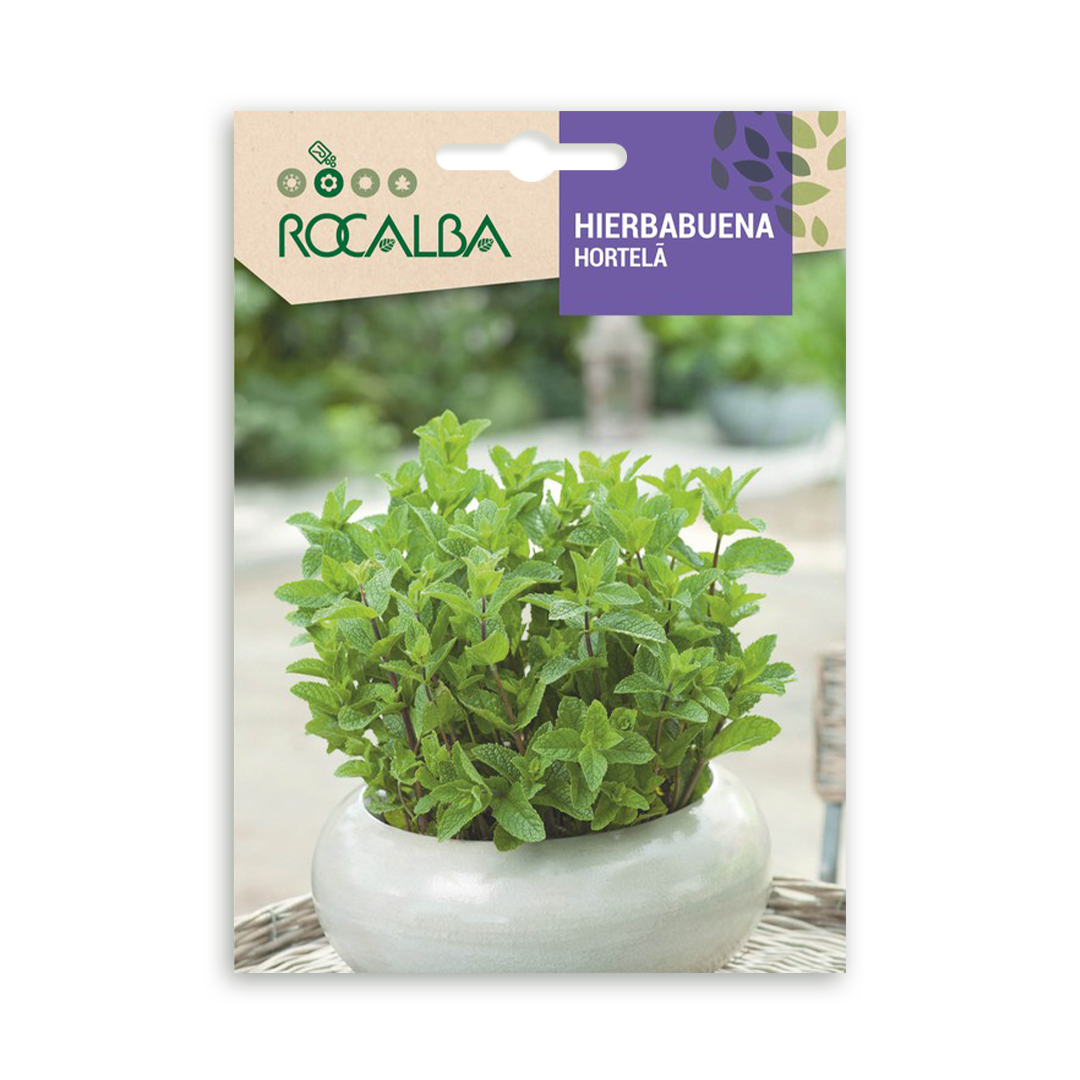 Semillas de Hierbabuena Rocalba - Imagen 2
