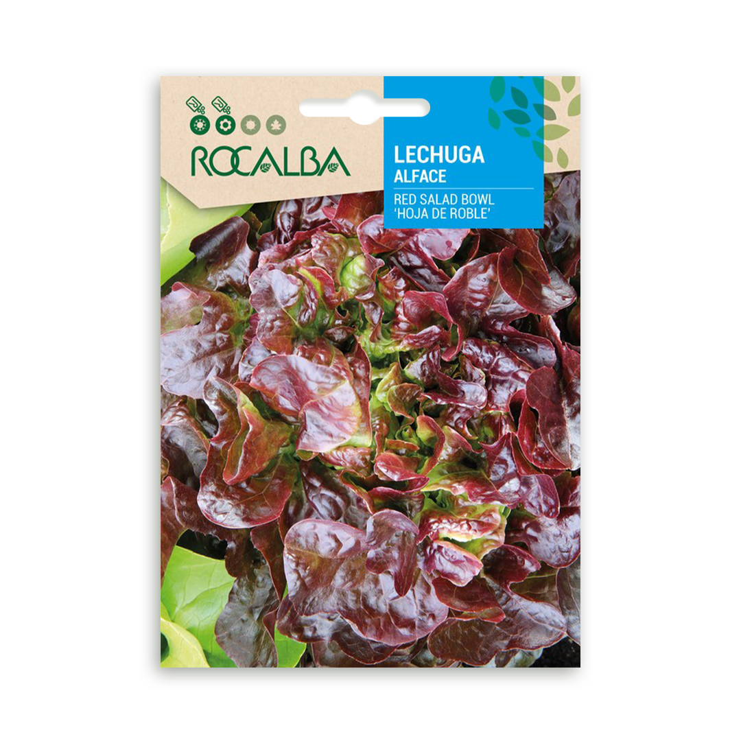 Semillas de Lechuga Red Salad Bowl Hoja de Roble - Imagen 2
