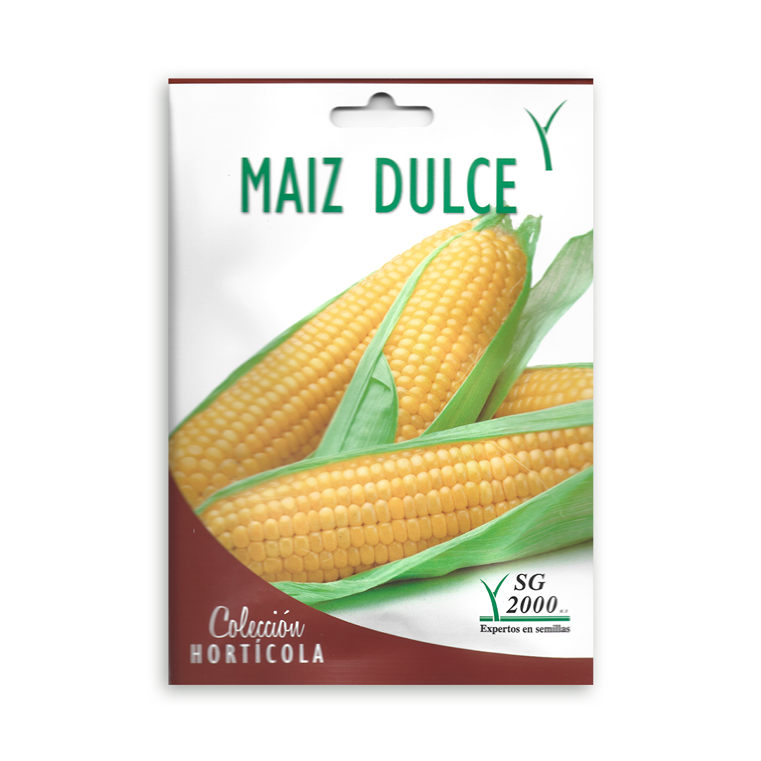 Semillas de Maíz Dulce Golden Bantam SG 2000 - Imagen 2