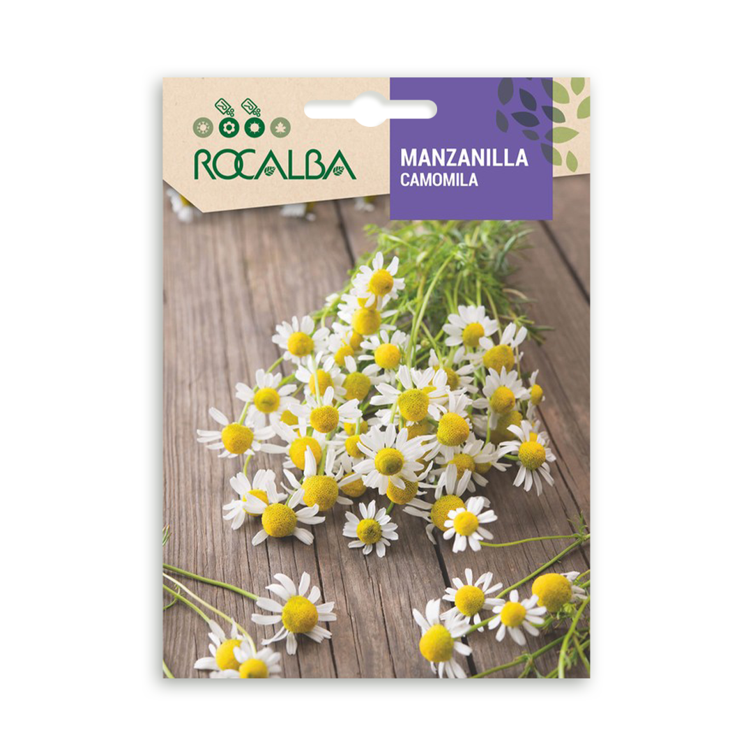 Semillas de Manzanilla Rocalba - Imagen 2