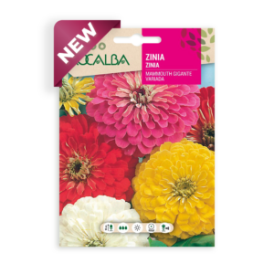 Semillas de Zinnia Mammouth Gigante Variada